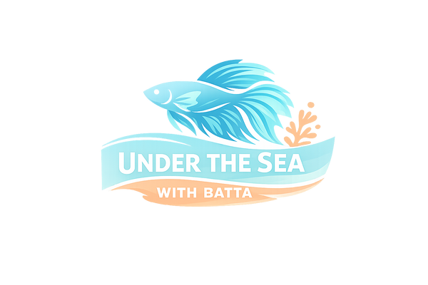betaseashop.com